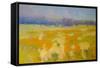 Meadow 2-Vahe Yeremyan-Framed Stretched Canvas