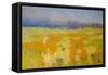 Meadow 2-Vahe Yeremyan-Framed Stretched Canvas