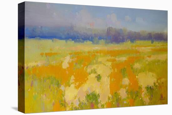 Meadow 2-Vahe Yeremyan-Stretched Canvas