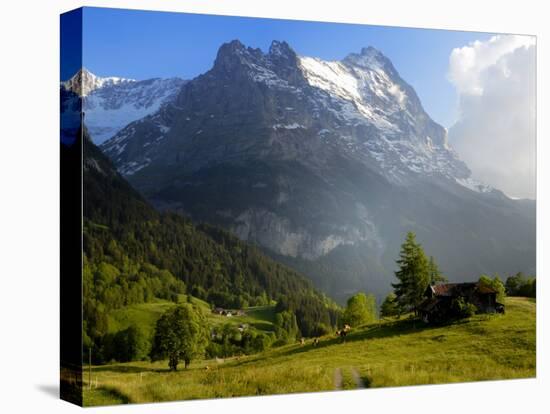 Meadow and Farm Building, Grindelwald, Bern, Switzerland, Europe-Richardson Peter-Stretched Canvas