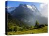 Meadow and Farm Building, Grindelwald, Bern, Switzerland, Europe-Richardson Peter-Stretched Canvas