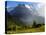 Meadow and Farm Building, Grindelwald, Bern, Switzerland, Europe-Richardson Peter-Stretched Canvas