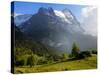 Meadow and Farm Building, Grindelwald, Bern, Switzerland, Europe-Richardson Peter-Stretched Canvas