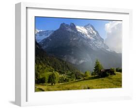 Meadow and Farm Building, Grindelwald, Bern, Switzerland, Europe-Richardson Peter-Framed Photographic Print