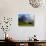 Meadow and Farm Building, Grindelwald, Bern, Switzerland, Europe-Richardson Peter-Photographic Print displayed on a wall