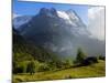 Meadow and Farm Building, Grindelwald, Bern, Switzerland, Europe-Richardson Peter-Mounted Photographic Print