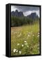 Meadow and the Rosengarten Peaks in the Dolomites Near Canazei, Trentino-Alto Adige, Italy, Europe-Martin Child-Framed Stretched Canvas