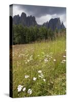 Meadow and the Rosengarten Peaks in the Dolomites Near Canazei, Trentino-Alto Adige, Italy, Europe-Martin Child-Stretched Canvas