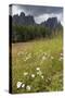 Meadow and the Rosengarten Peaks in the Dolomites Near Canazei, Trentino-Alto Adige, Italy, Europe-Martin Child-Stretched Canvas