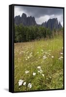 Meadow and the Rosengarten Peaks in the Dolomites Near Canazei, Trentino-Alto Adige, Italy, Europe-Martin Child-Framed Stretched Canvas