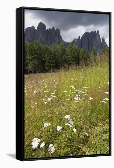 Meadow and the Rosengarten Peaks in the Dolomites Near Canazei, Trentino-Alto Adige, Italy, Europe-Martin Child-Framed Stretched Canvas