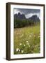 Meadow and the Rosengarten Peaks in the Dolomites Near Canazei, Trentino-Alto Adige, Italy, Europe-Martin Child-Framed Photographic Print