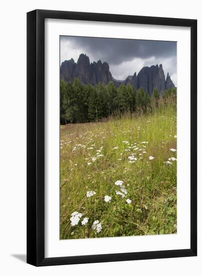 Meadow and the Rosengarten Peaks in the Dolomites Near Canazei, Trentino-Alto Adige, Italy, Europe-Martin Child-Framed Photographic Print