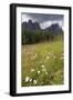 Meadow and the Rosengarten Peaks in the Dolomites Near Canazei, Trentino-Alto Adige, Italy, Europe-Martin Child-Framed Photographic Print