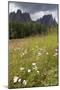 Meadow and the Rosengarten Peaks in the Dolomites Near Canazei, Trentino-Alto Adige, Italy, Europe-Martin Child-Mounted Photographic Print