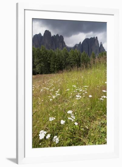 Meadow and the Rosengarten Peaks in the Dolomites Near Canazei, Trentino-Alto Adige, Italy, Europe-Martin Child-Framed Photographic Print