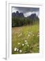 Meadow and the Rosengarten Peaks in the Dolomites Near Canazei, Trentino-Alto Adige, Italy, Europe-Martin Child-Framed Photographic Print