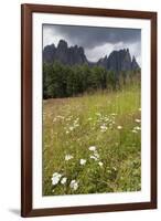 Meadow and the Rosengarten Peaks in the Dolomites Near Canazei, Trentino-Alto Adige, Italy, Europe-Martin Child-Framed Photographic Print