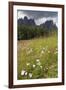 Meadow and the Rosengarten Peaks in the Dolomites Near Canazei, Trentino-Alto Adige, Italy, Europe-Martin Child-Framed Photographic Print