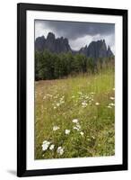 Meadow and the Rosengarten Peaks in the Dolomites Near Canazei, Trentino-Alto Adige, Italy, Europe-Martin Child-Framed Photographic Print