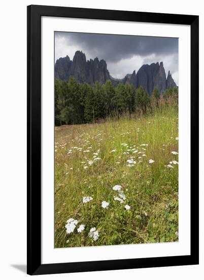 Meadow and the Rosengarten Peaks in the Dolomites Near Canazei, Trentino-Alto Adige, Italy, Europe-Martin Child-Framed Photographic Print