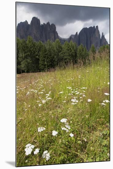 Meadow and the Rosengarten Peaks in the Dolomites Near Canazei, Trentino-Alto Adige, Italy, Europe-Martin Child-Mounted Photographic Print