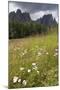 Meadow and the Rosengarten Peaks in the Dolomites Near Canazei, Trentino-Alto Adige, Italy, Europe-Martin Child-Mounted Photographic Print