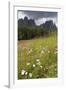 Meadow and the Rosengarten Peaks in the Dolomites Near Canazei, Trentino-Alto Adige, Italy, Europe-Martin Child-Framed Photographic Print