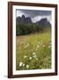 Meadow and the Rosengarten Peaks in the Dolomites Near Canazei, Trentino-Alto Adige, Italy, Europe-Martin Child-Framed Photographic Print