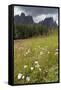 Meadow and the Rosengarten Peaks in the Dolomites Near Canazei, Trentino-Alto Adige, Italy, Europe-Martin Child-Framed Stretched Canvas