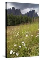 Meadow and the Rosengarten Peaks in the Dolomites Near Canazei, Trentino-Alto Adige, Italy, Europe-Martin Child-Stretched Canvas