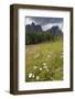 Meadow and the Rosengarten Peaks in the Dolomites Near Canazei, Trentino-Alto Adige, Italy, Europe-Martin Child-Framed Photographic Print