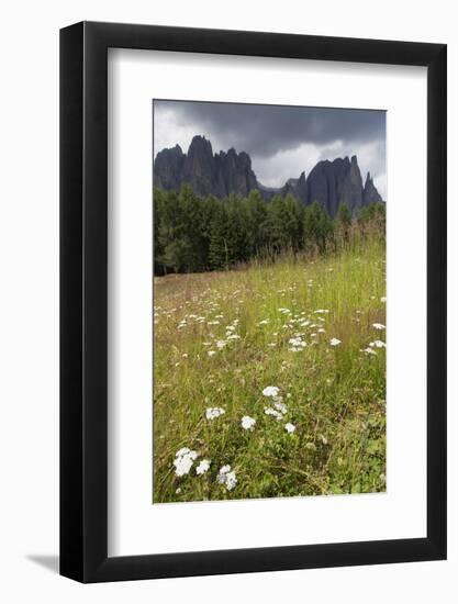 Meadow and the Rosengarten Peaks in the Dolomites Near Canazei, Trentino-Alto Adige, Italy, Europe-Martin Child-Framed Photographic Print