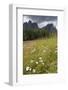 Meadow and the Rosengarten Peaks in the Dolomites Near Canazei, Trentino-Alto Adige, Italy, Europe-Martin Child-Framed Photographic Print