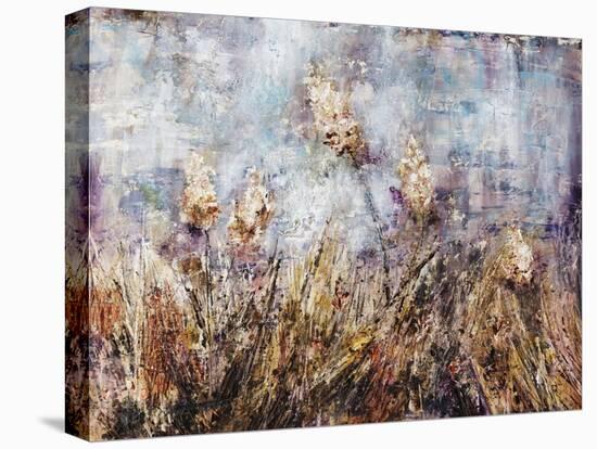 Meadow at Dusk-Alexys Henry-Stretched Canvas