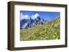 Meadow at Sexten Dolomites Nature Park, Province of Bolzano, South Tyrol, Italy-null-Framed Premium Giclee Print