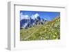 Meadow at Sexten Dolomites Nature Park, Province of Bolzano, South Tyrol, Italy-null-Framed Premium Giclee Print