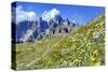 Meadow at Sexten Dolomites Nature Park, Province of Bolzano, South Tyrol, Italy-null-Stretched Canvas