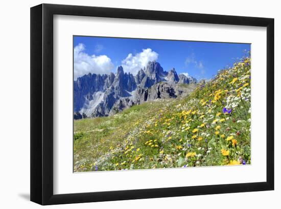 Meadow at Sexten Dolomites Nature Park, Province of Bolzano, South Tyrol, Italy-null-Framed Art Print