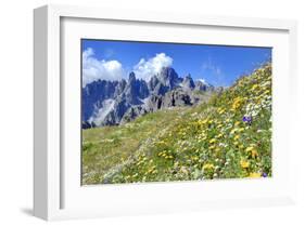 Meadow at Sexten Dolomites Nature Park, Province of Bolzano, South Tyrol, Italy-null-Framed Art Print