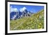 Meadow at Sexten Dolomites Nature Park, Province of Bolzano, South Tyrol, Italy-null-Framed Art Print