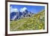 Meadow at Sexten Dolomites Nature Park, Province of Bolzano, South Tyrol, Italy-null-Framed Art Print