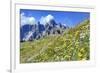 Meadow at Sexten Dolomites Nature Park, Province of Bolzano, South Tyrol, Italy-null-Framed Art Print