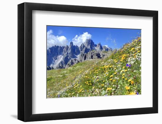 Meadow at Sexten Dolomites Nature Park, Province of Bolzano, South Tyrol, Italy-null-Framed Art Print