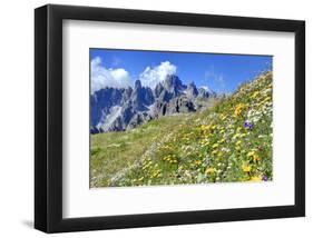 Meadow at Sexten Dolomites Nature Park, Province of Bolzano, South Tyrol, Italy-null-Framed Art Print
