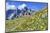 Meadow at Sexten Dolomites Nature Park, Province of Bolzano, South Tyrol, Italy-null-Mounted Art Print