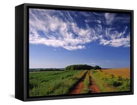 Meadow Bank, Prince Edward Island, Canada-Walter Bibikow-Framed Stretched Canvas