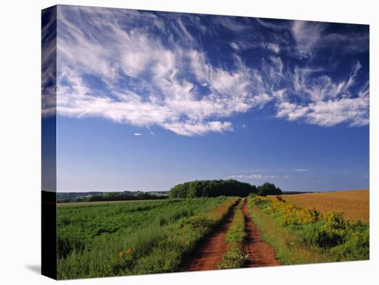 Meadow Bank, Prince Edward Island, Canada-Walter Bibikow-Stretched Canvas