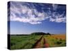 Meadow Bank, Prince Edward Island, Canada-Walter Bibikow-Stretched Canvas