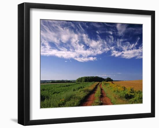 Meadow Bank, Prince Edward Island, Canada-Walter Bibikow-Framed Photographic Print